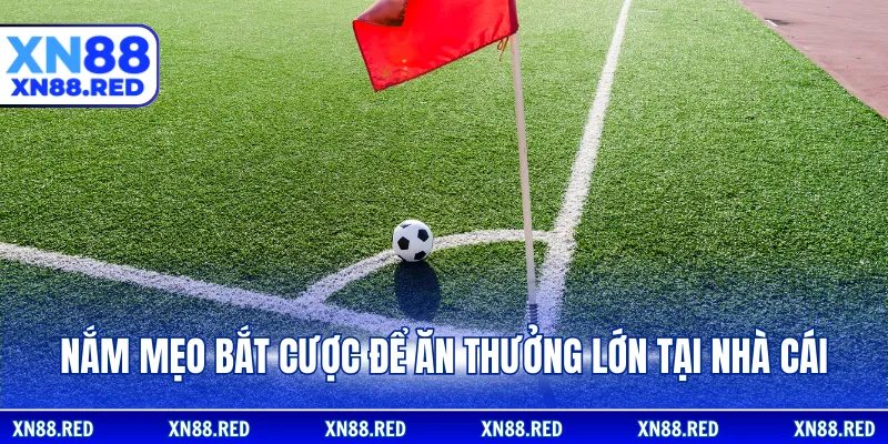 Nắm mẹo bắt cược để ăn thưởng lớn tại nhà cái