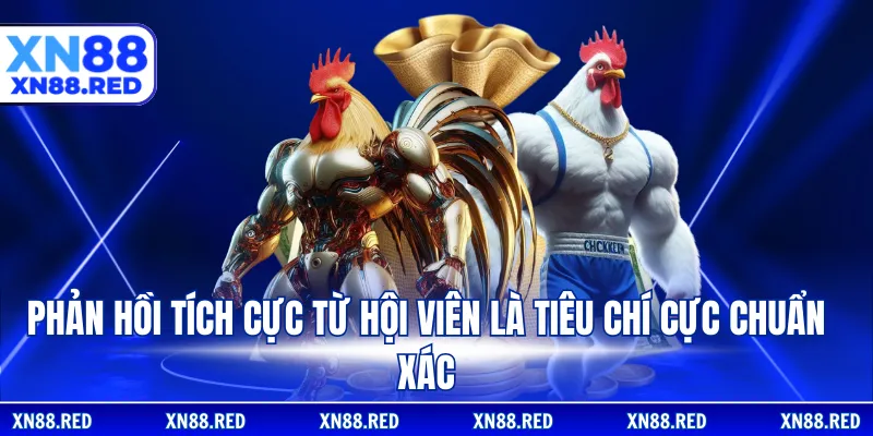 Phản hồi tích cực từ hội viên là tiêu chí cực chuẩn xác
