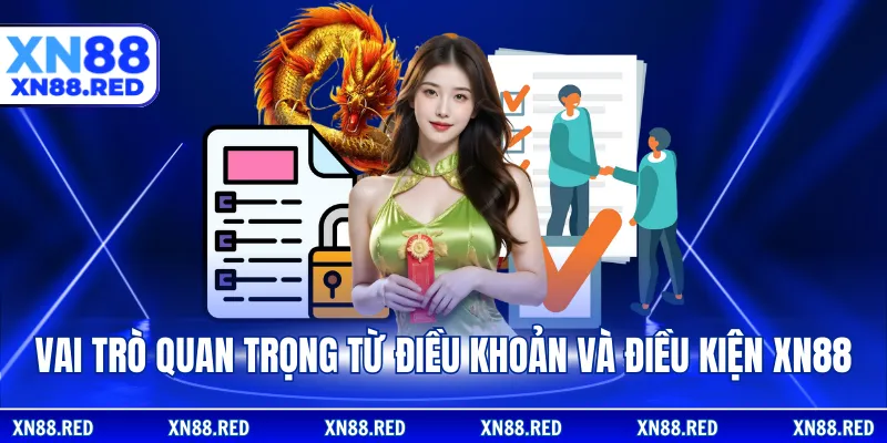 Vai trò quan trọng từ điều khoản và điều kiện XN88